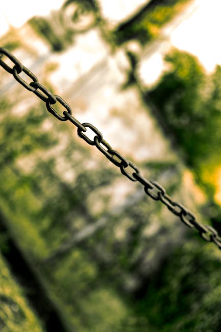 A macro shot of a rusted chain against a blurred natural background.