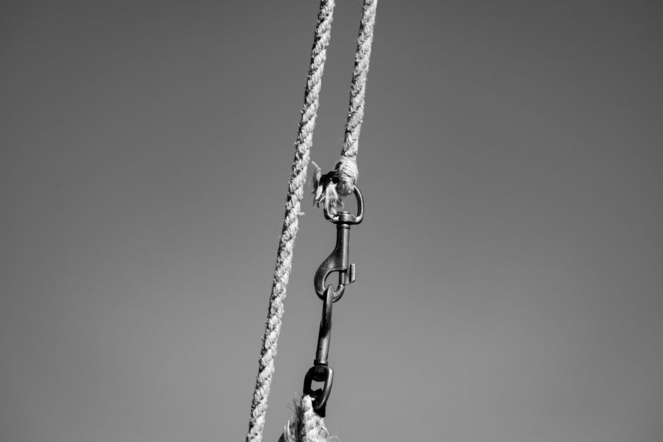 Detailed black and white image of a hook and rope with clear sky background, highlighting mechanical themes.