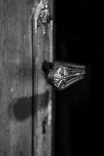 Close-up black and white of an ornate vintage door handle with textured shadows.