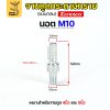 เฉพาะนอต M10