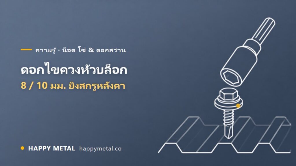 ดอกไขควงหัวบล็อก M8 / M10 ใช้กับสกรูแบบไหน ยิงสกรูหลังคาไม่ให้รั่ว