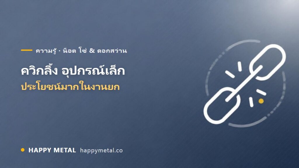 ควิกลิ้ง อุปกรณ์เล็กที่มีประโยชน์มากในงานยกของ