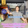 ยาว 6 เมตร, โซ่304 - 8 มิล