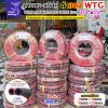 5 เมตร, สายลมคู่ WTG